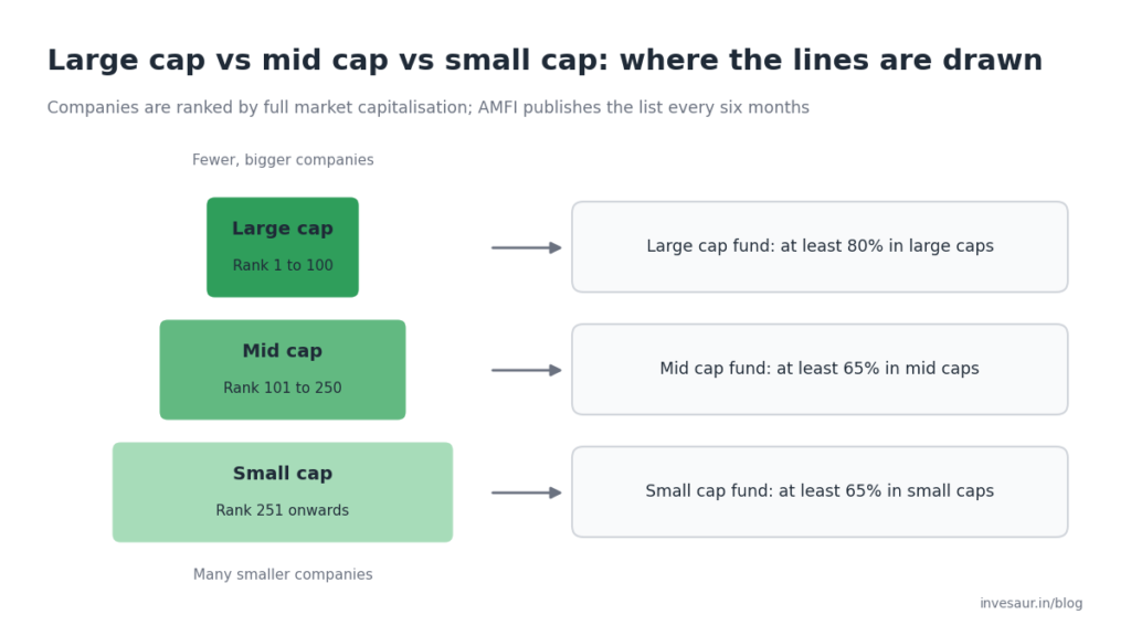 Large cap vs mid cap vs small cap diagram showing rank bands and minimum fund allocations